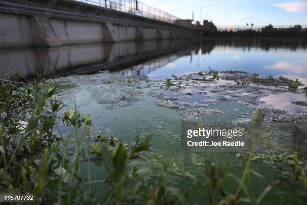 Algae blooms that come mostly from the controlled discharges of water from Lake Okeechobee are seen along the W.P. Franklin Lock and Dam that helps...