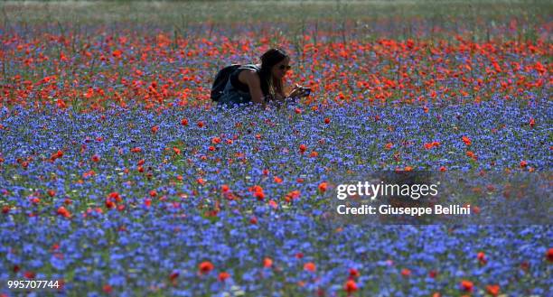 Woman prepares to take a photo during Annual Blossom in Castelluccio on July 10, 2018 in Castelluccio di Norcia near Perugia, Italy.