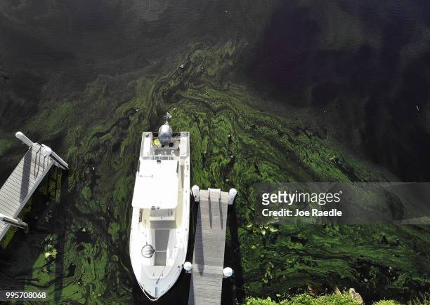 Green algae blooms that come mostly from the controlled discharges of water from Lake Okeechobee are seen next to a boat along the Caloosahatchee...