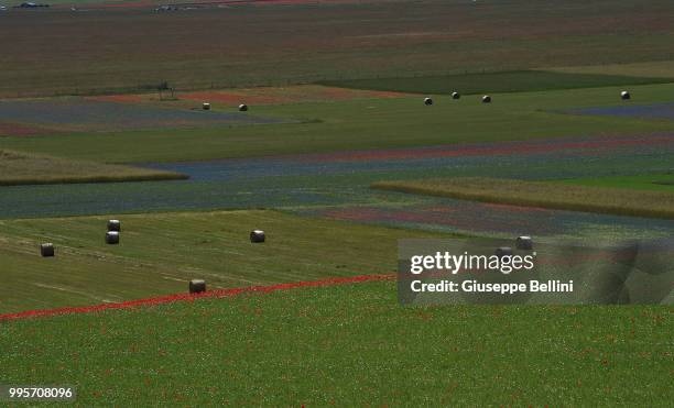 General view during Annual Blossom in Castelluccio on July 10, 2018 in Castelluccio di Norcia near Perugia, Italy.