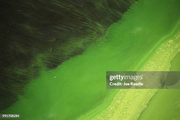 Green algae blooms are seen at the Port Mayaca Lock and Dam on Lake Okeechobee on July 10, 2018 in Port Mayaca, Florida. Gov. Rick Scott has declared...