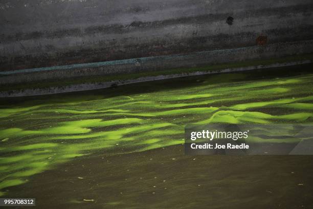 Green algae blooms are seen at the Port Mayaca Lock and Dam on Lake Okeechobee on July 10, 2018 in Port Mayaca, Florida. Gov. Rick Scott has declared...