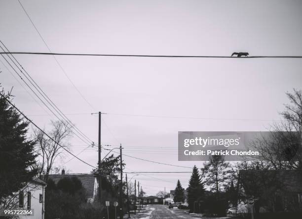 Chondon Robe 238 Chondon Stock Photos, High-Res Pictures, and Images - Getty Images
