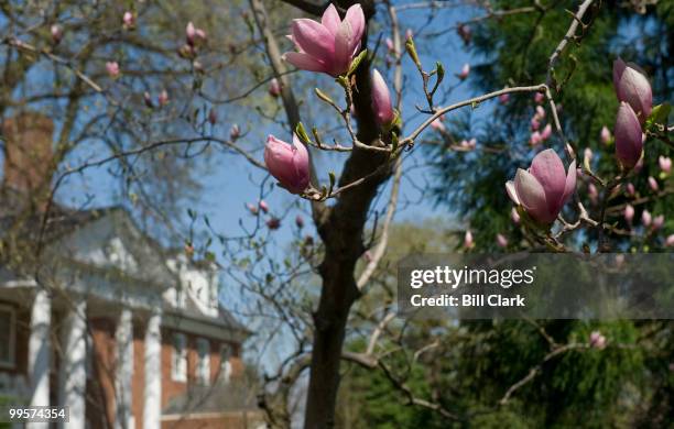 Flowers bllom in the well manicured gardens surround the Marjorie Merriweather Post mansion at the Hillwood Estate in Washington.