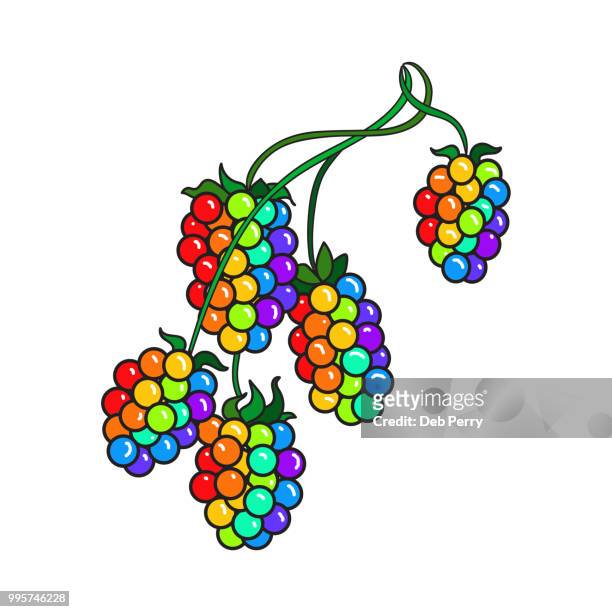 berries on the stem illustration - deb perry photos et images de collection