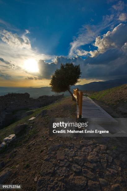 pergamon - pergamon stock pictures, royalty-free photos & images