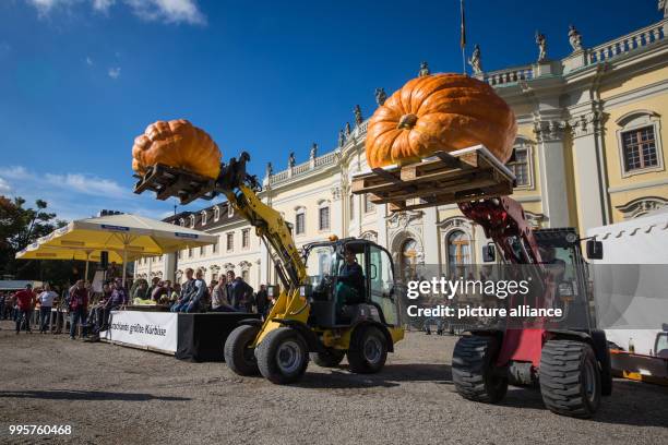 Two pumpkins are presented to spectators at the German pumpkin weighing championships at the Bluehendes Barock garden show in Ludwigsburg, Germany, 1...
