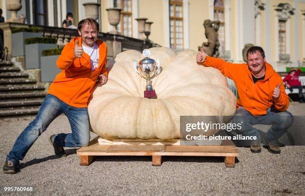 Norbert Mitschke and Robert Jaser from Schoenebach near Augsburg kneeling beside their winning 792,5 Kg pumpkin at the German pumpkin weighing...