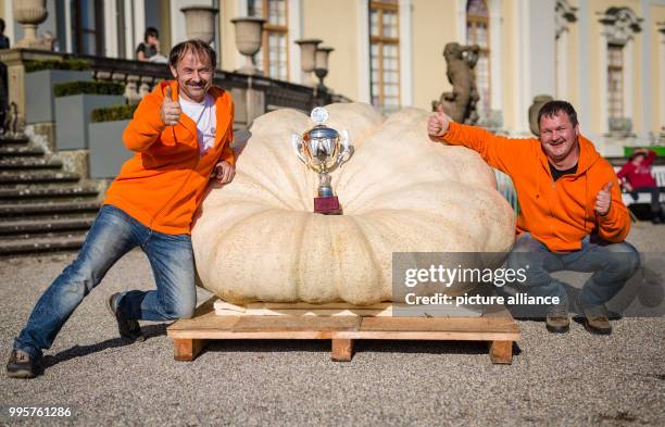 Dpatop - Norbert Mitschke and Robert Jaser from Schoenebach near Augsburg kneeling beside their winning 792,5 Kg pumpkin at the German pumpkin...