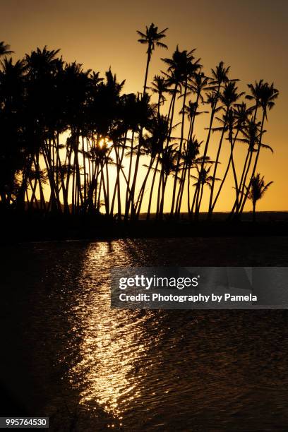 sunset at anaehoomalu bay - anaehoomalu bay stockfoto's en -beelden