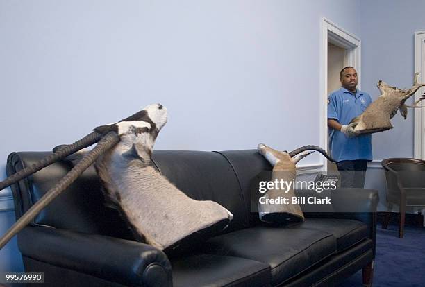 Herbert Acors, with the Architect of the Capitol department, carries stuffed big game heads into the new office for Rep. Collin Peterson, D-Minn, in...