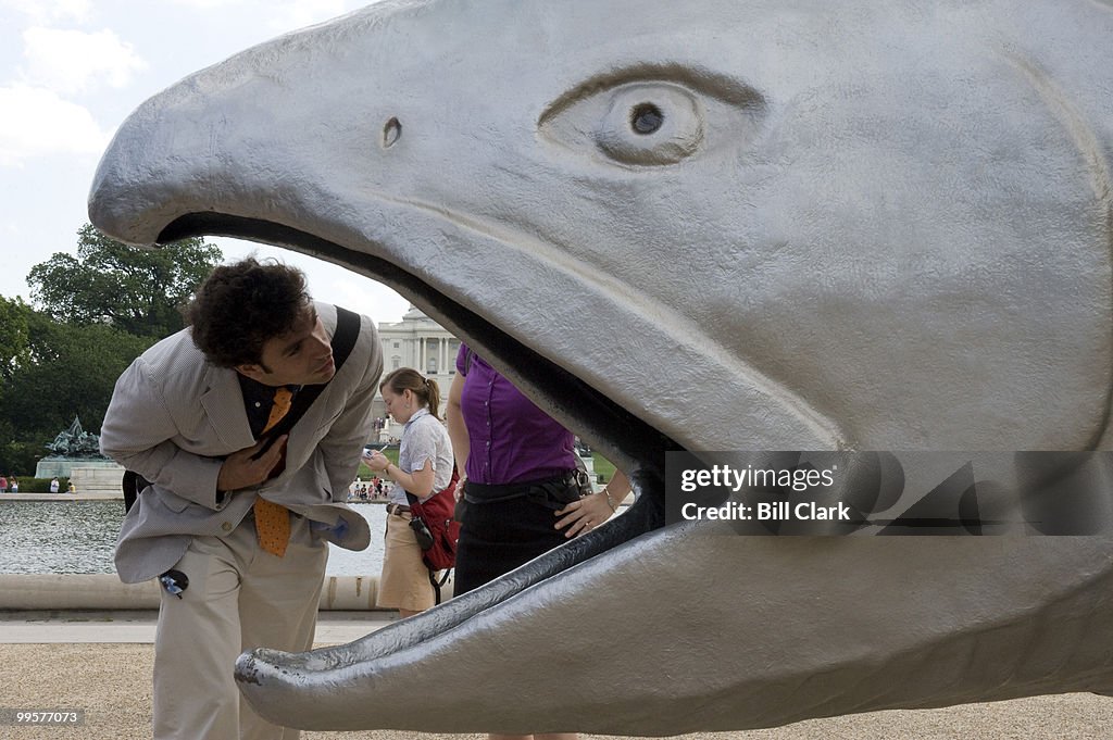 Giant Salmon