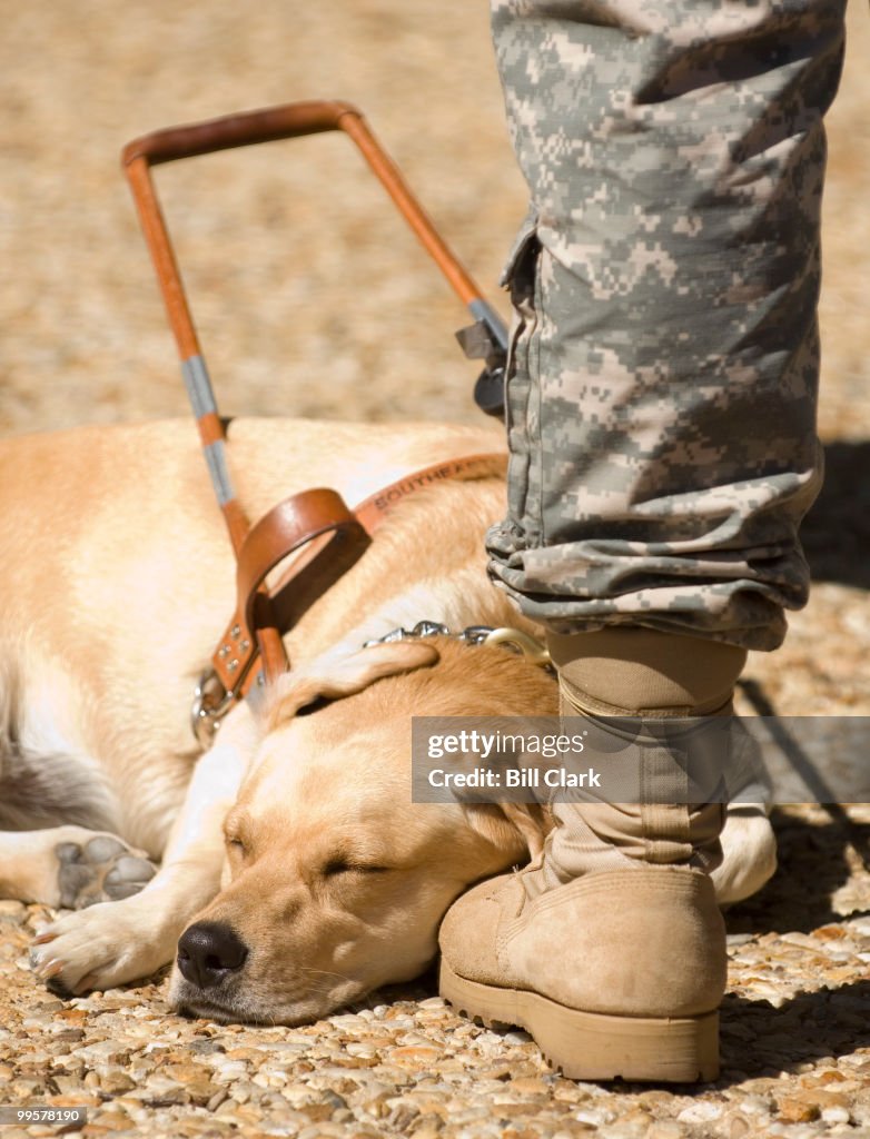 Wounded Warriors