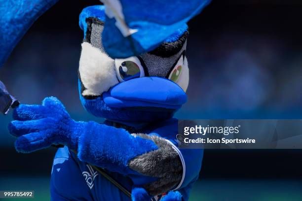 Toronto Blue Jays Team Mascot Ace waves a blue jays flag during a break in the MLB game between the New York Yankees and the Toronto Blue Jays at...