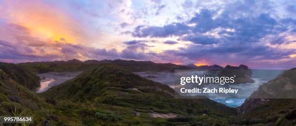 wharariki beach - ripley stock pictures, royalty-free photos & images