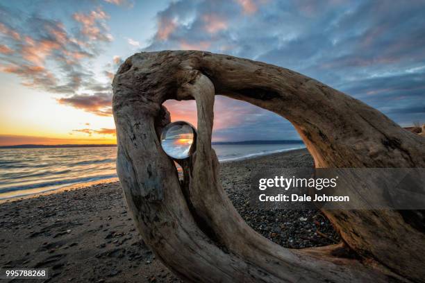 discovery park beach sunset, seattle - discovery park stock pictures, royalty-free photos & images