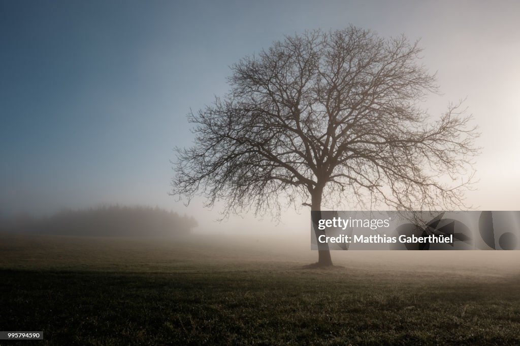 Descending fog