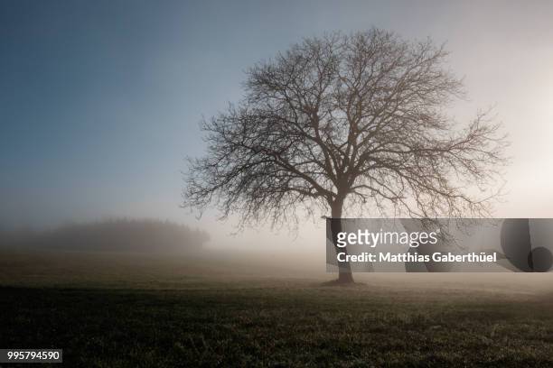 descending fog - matthias gaberthüel stock pictures, royalty-free photos & images