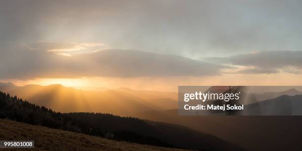 mountains at foggy dawn - sokola stock-fotos und bilder