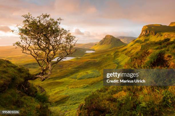 the quiraing, skye, scotland - quiraing stock pictures, royalty-free photos & images