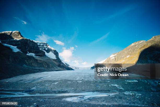 dsc03626.jpg - columbia icefield stock pictures, royalty-free photos & images