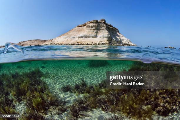 hawar island - hani stock pictures, royalty-free photos & images