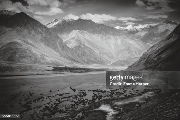 nubra valley - nubra valley stock pictures, royalty-free photos & images