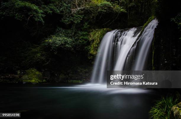 silky - katsura stock pictures, royalty-free photos & images