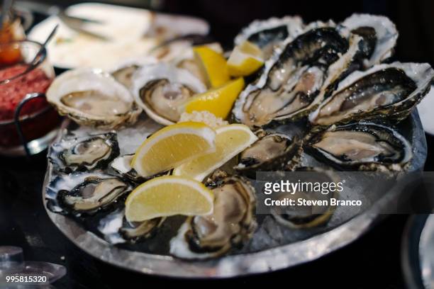 raw oysters platter from oyster bar - branco stock pictures, royalty-free photos & images