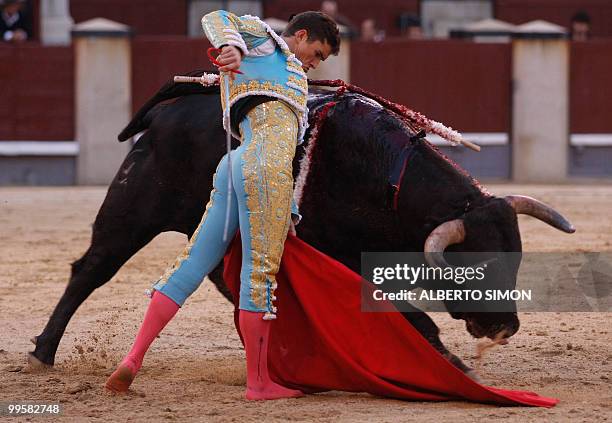 Spanish matador Daniel Luque makes a pass on a bull at the Las Ventas bullring during the San Isidro Feria in Madrid on May 15, 2010. AFP PHOTO /...