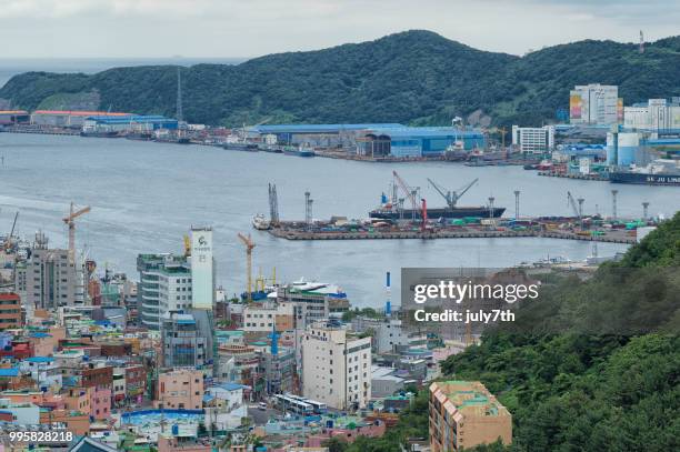 busan korea - july7th stock pictures, royalty-free photos & images