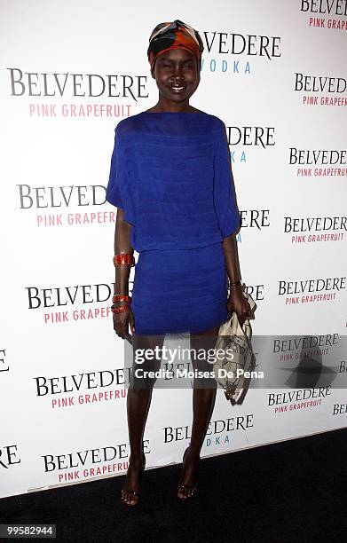 Alek Wek attends the Belvedere Pink Grapefruit "In The Pink" launch party at The Belvedere Pink Grapefruit Pop-Up on May 14, 2010 in New York City.