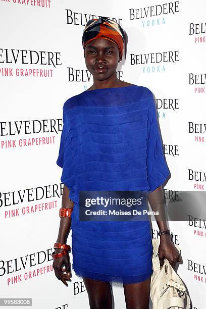 Alek Wek attends the Belvedere Pink Grapefruit "In The Pink" launch party at The Belvedere Pink Grapefruit Pop-Up on May 14, 2010 in New York City.