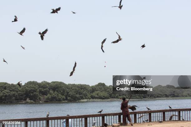 Man feed birds as they fly by in the Creek area of Karachi, Pakistan, on Monday, July 9, 2018. The Pakistan economy is in distress. How else to...