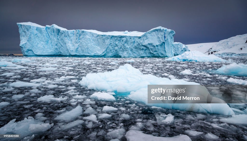 Icebergs floating in the sea in Antarctic Greenland.