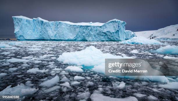 icebergs floating in the sea in antarctic greenland. - glaciar imagens e fotografias de stock