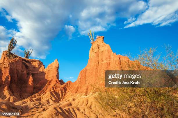 landscape of tatacoa desert, colombia - huila stock pictures, royalty-free photos & images