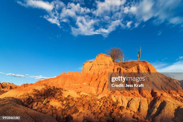 Red Dessert Rocks Red Desert Photos and Premium High Res Pictures - Getty Images