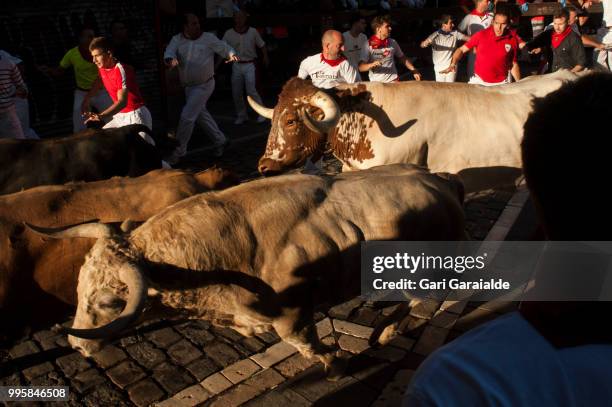 Revellers run with Nunez del Cubillo's fighting bulls during the sixth day of the San Fermin Running of the Bulls festival on July 11, 2018 in...