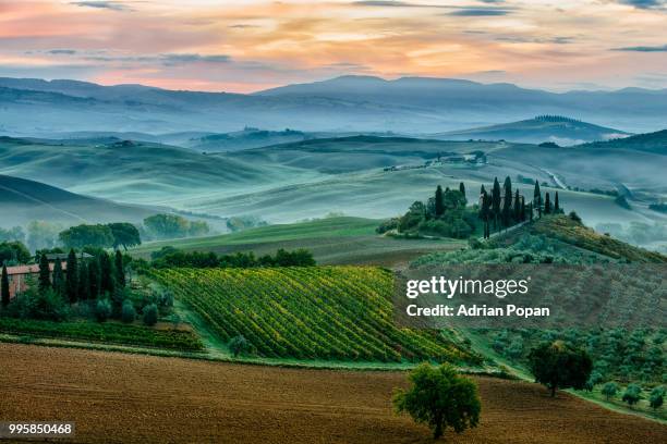 october dawn in san quirico d'orcia - san quirico d'orcia bildbanksfoton och bilder