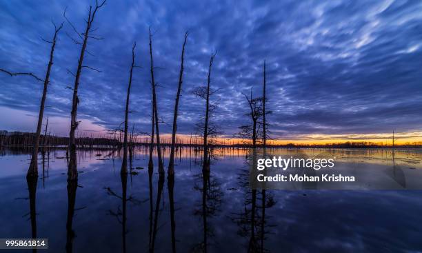 amazing sky - 150th birth anniversary of mahamana madan mohan malaviya commemoration event stockfoto's en -beelden