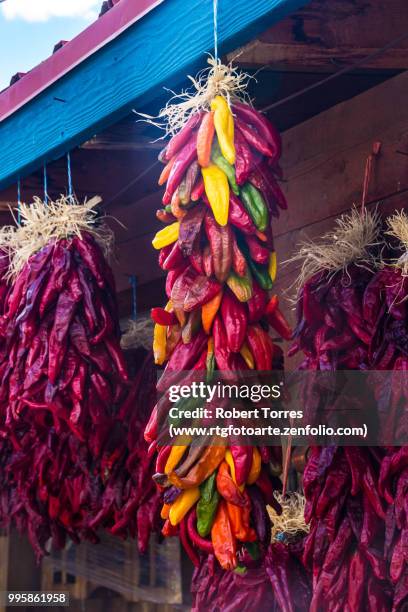 multi colored chili peppers - www photo com stock pictures, royalty-free photos & images