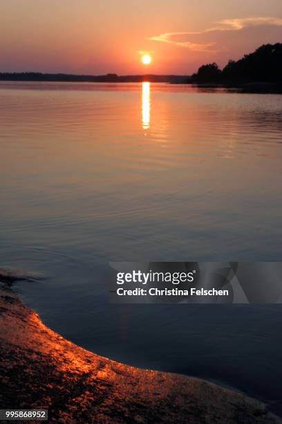 swimming toward the sunset - christina felschen stock pictures, royalty-free photos & images