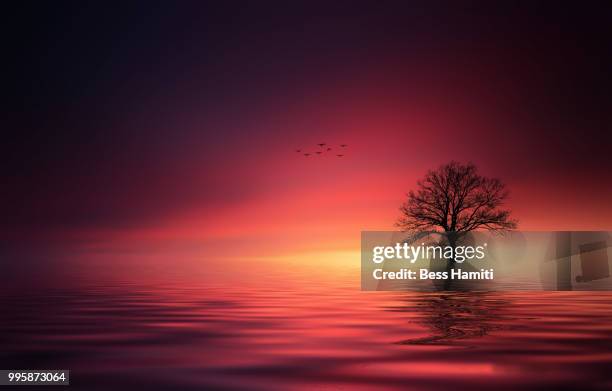 magic sky reflects in the lake - dawn bess fotografías e imágenes de stock