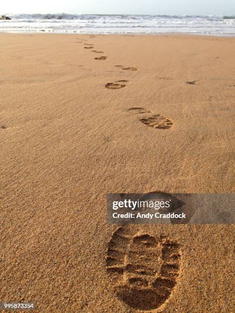 67 Bigfoot Footprints Stock Photos, High-Res Pictures, and Images