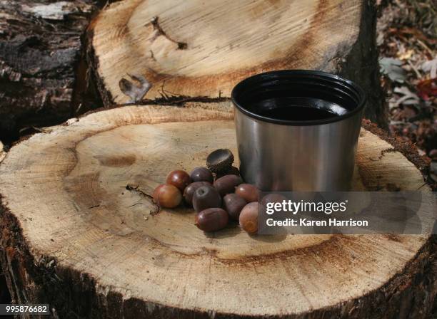 acorns and coffee - harrison wood stock pictures, royalty-free photos & images