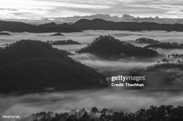 da lat , vietnam - lat stock pictures, royalty-free photos & images