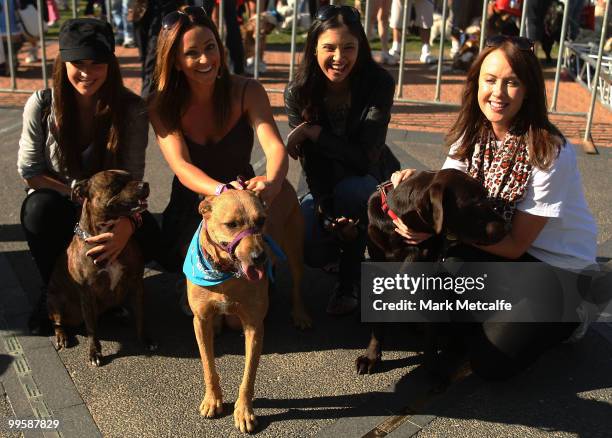 Nikki Phillips, Rose Kelly, Lyndsey Rodrigues and Lizzy Lovett attend the RSPCA Million Paws Walk at Sydney Olympic Park on May 16, 2010 in Sydney,...