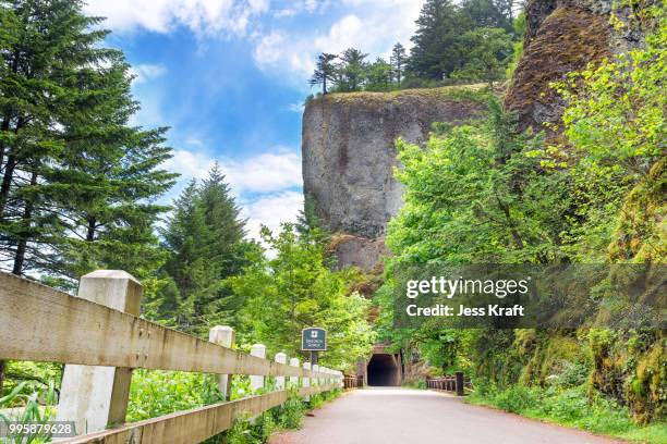 tunnel by oneonta gorge - oneonta gorge bildbanksfoton och bilder