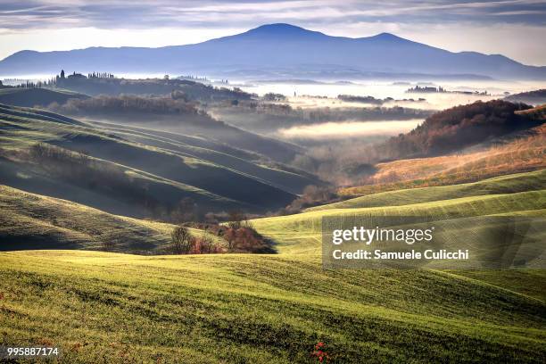 colline toscane (tuscany hills) - colline stock pictures, royalty-free photos & images
